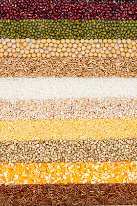 五谷杂粮条形平铺对比展示图