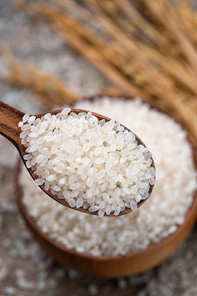 一木匙大米和一碗大米