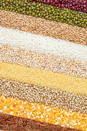 五谷杂粮条形平铺对比展示图