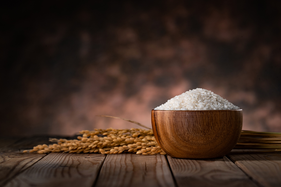 一碗大米和水稻 一碗大米和水稻