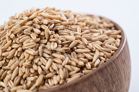 木碗装满燕麦米图片